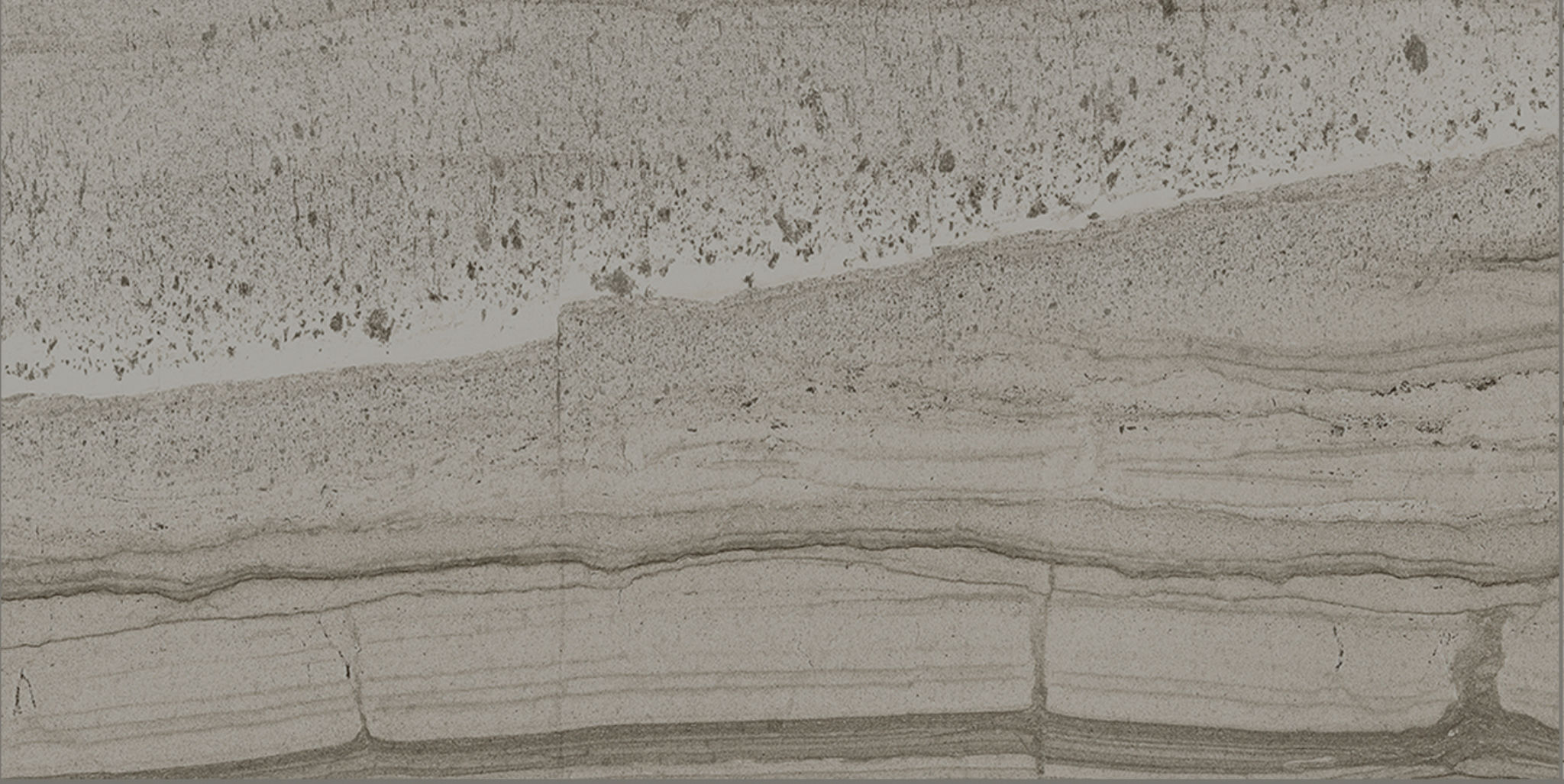 Arcadia 12X24 Trentino Polished | Revere Tile Company