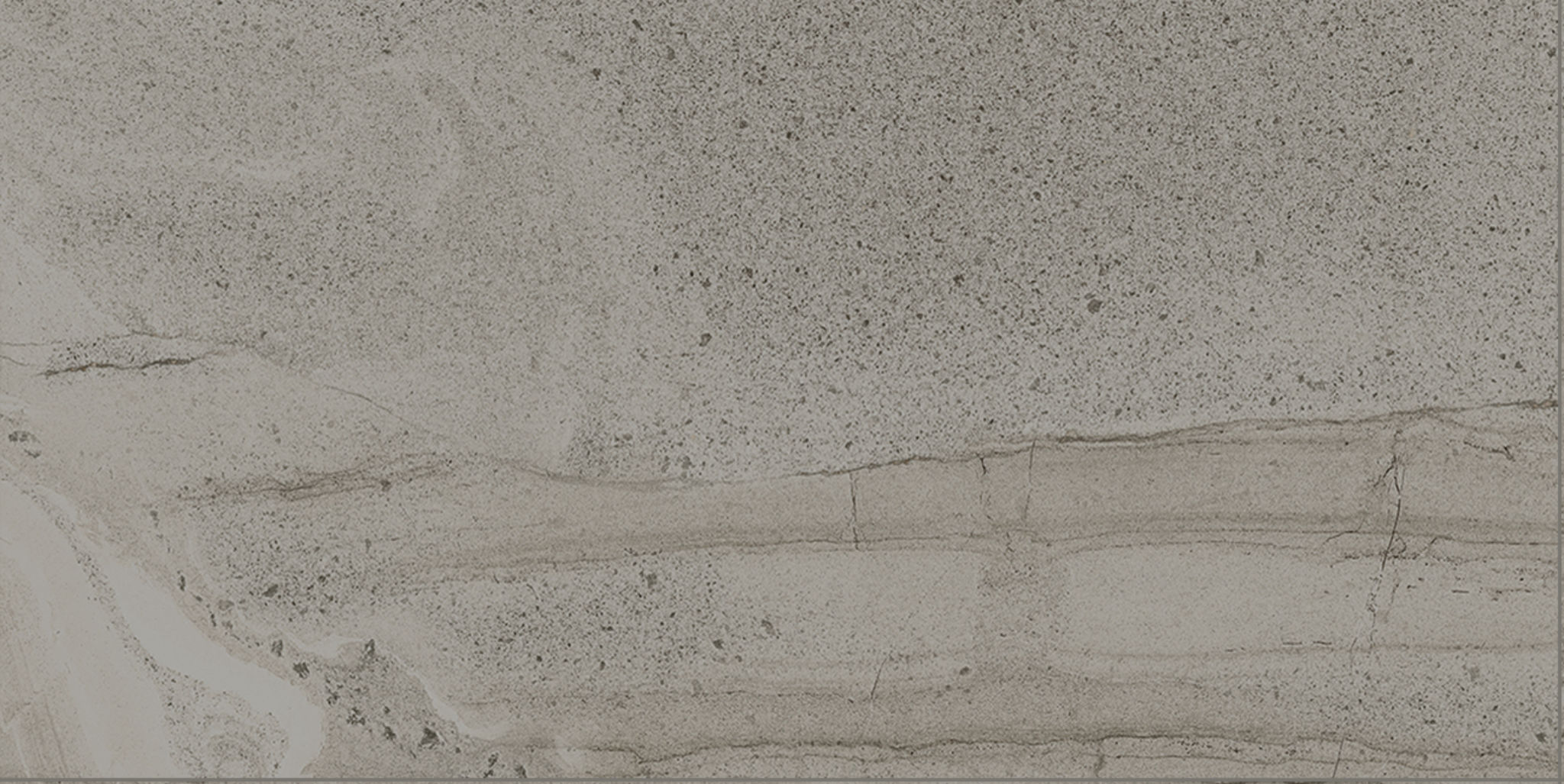 Arcadia 12X24 Trentino Polished | Revere Tile Company
