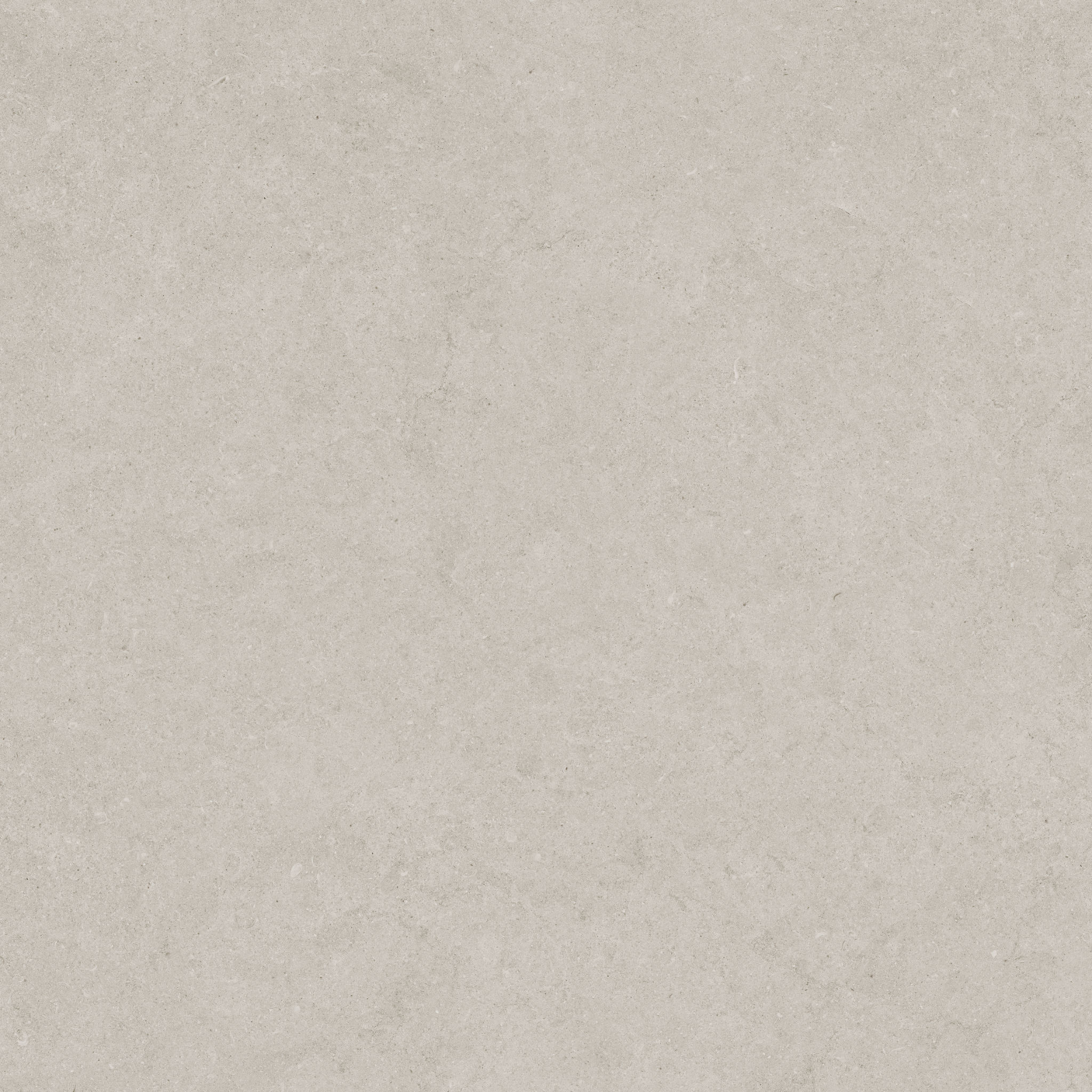 Lithoform 24X24 Crosscut Coast | Revere Tile Company