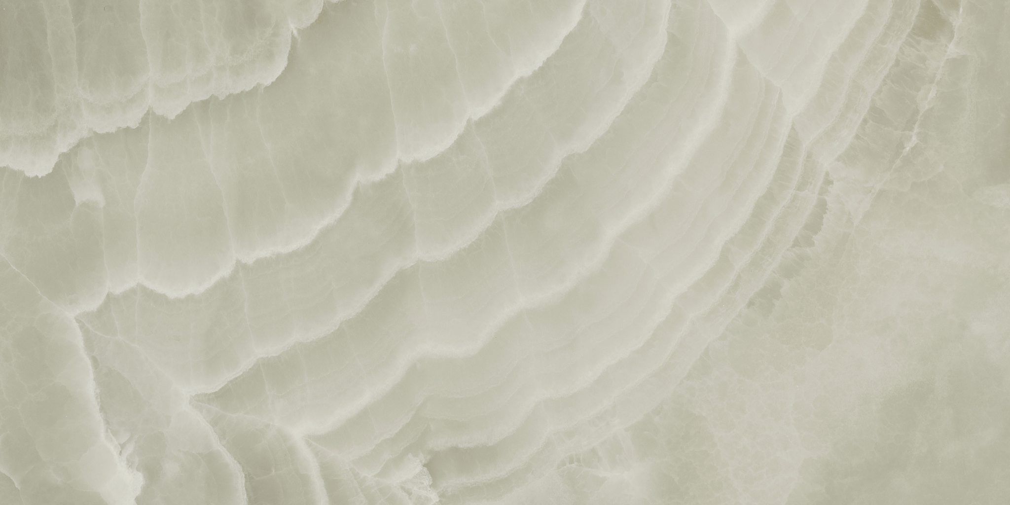 Lustra 24x48 Onyx Sage Polished | Revere Tile Company