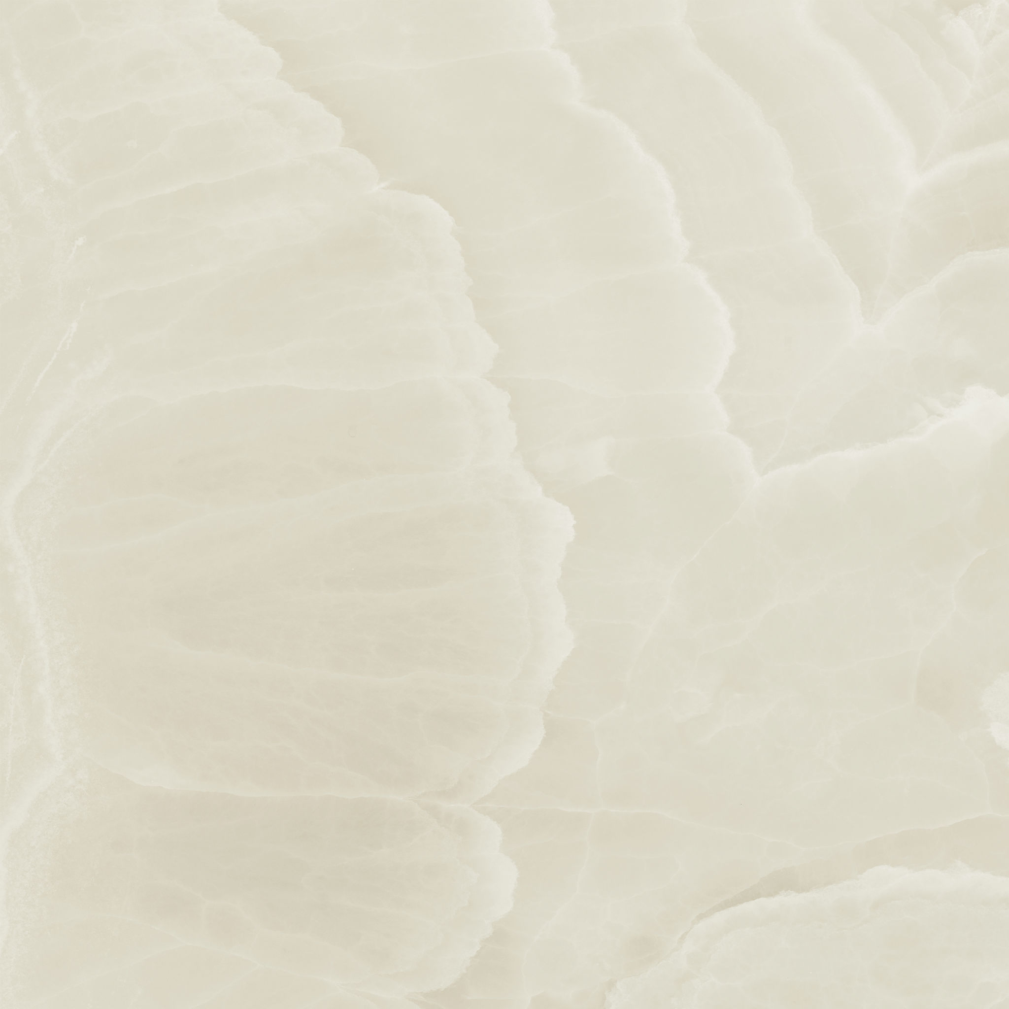Lustra 36x36 Onyx Crema Honed | Revere Tile Company