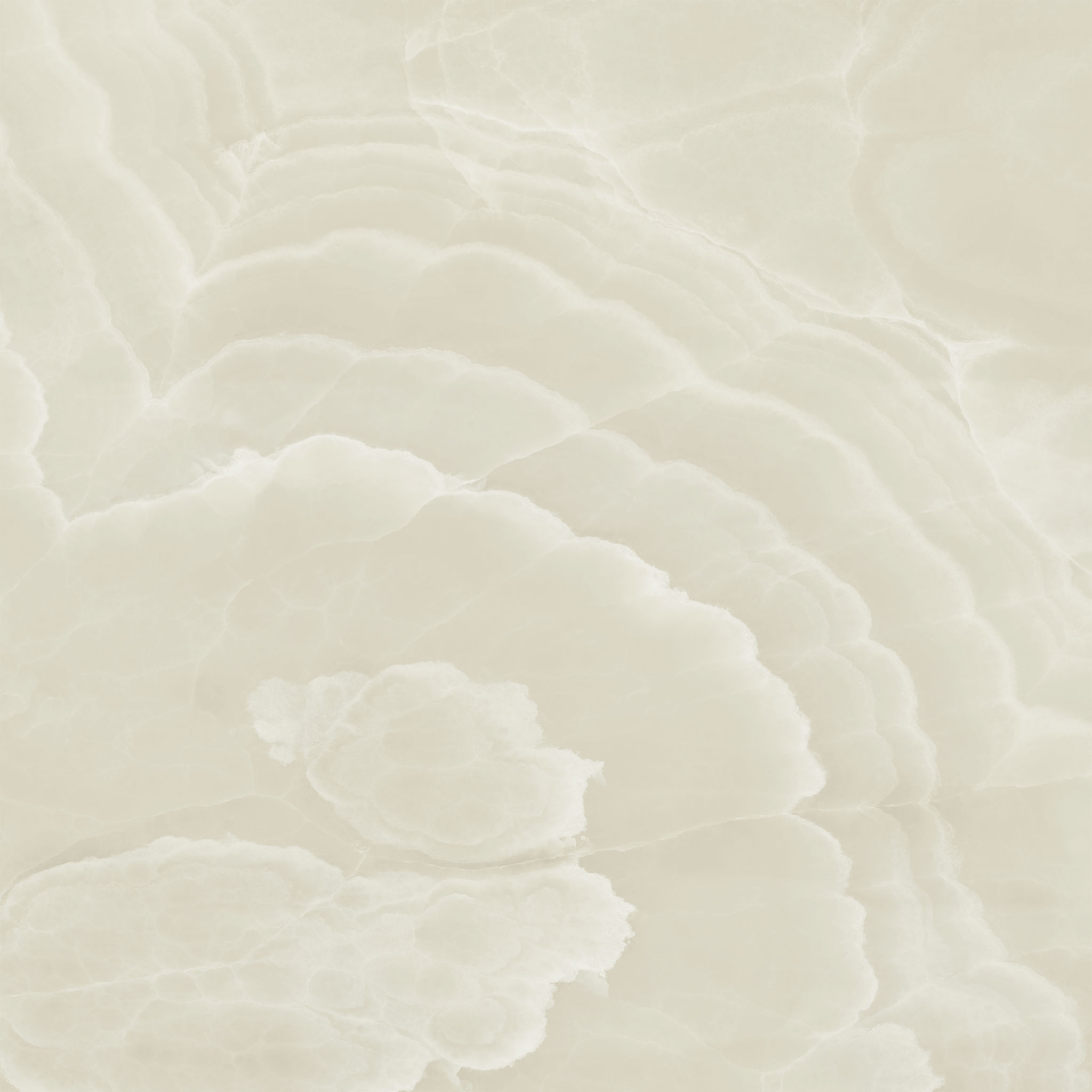 Lustra 48x48 Onyx Crema Honed | Revere Tile Company