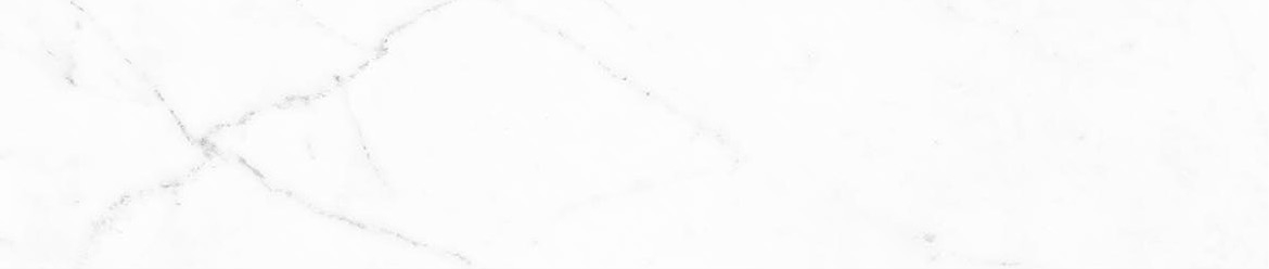 Obsession 2.5x10 Statuario | Revere Tile Company