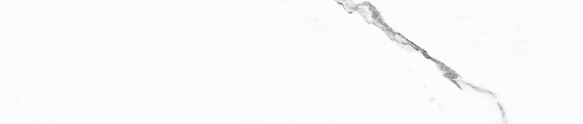 Obsession 2.5x10 Statuario | Revere Tile Company