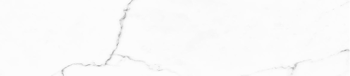 Obsession 2.5x10 Statuario | Revere Tile Company