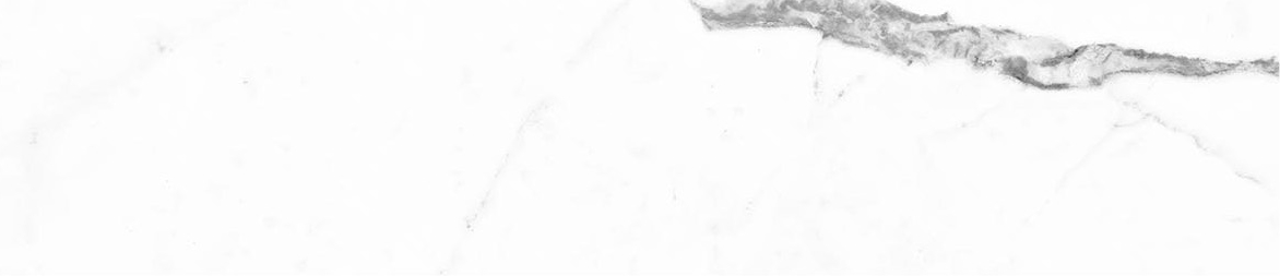 Obsession 2.5x10 Statuario | Revere Tile Company