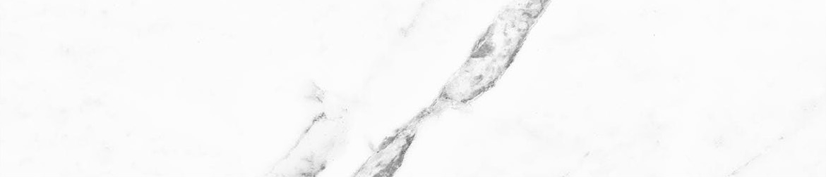 Obsession 2.5x10 Statuario | Revere Tile Company