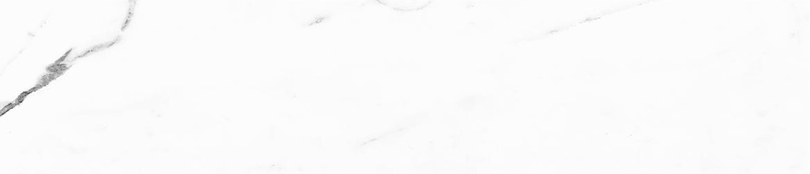 Obsession 2.5x10 Statuario | Revere Tile Company