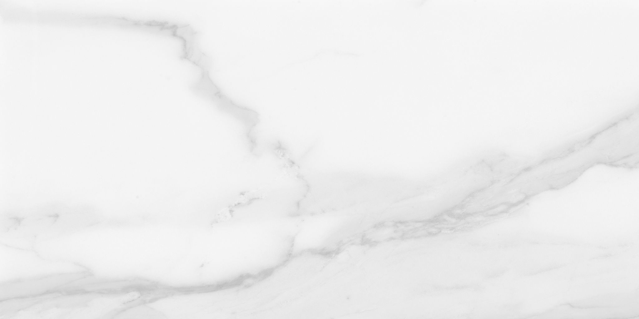 Plata 12x24 Statuario Brina Matte | Revere Tile Company