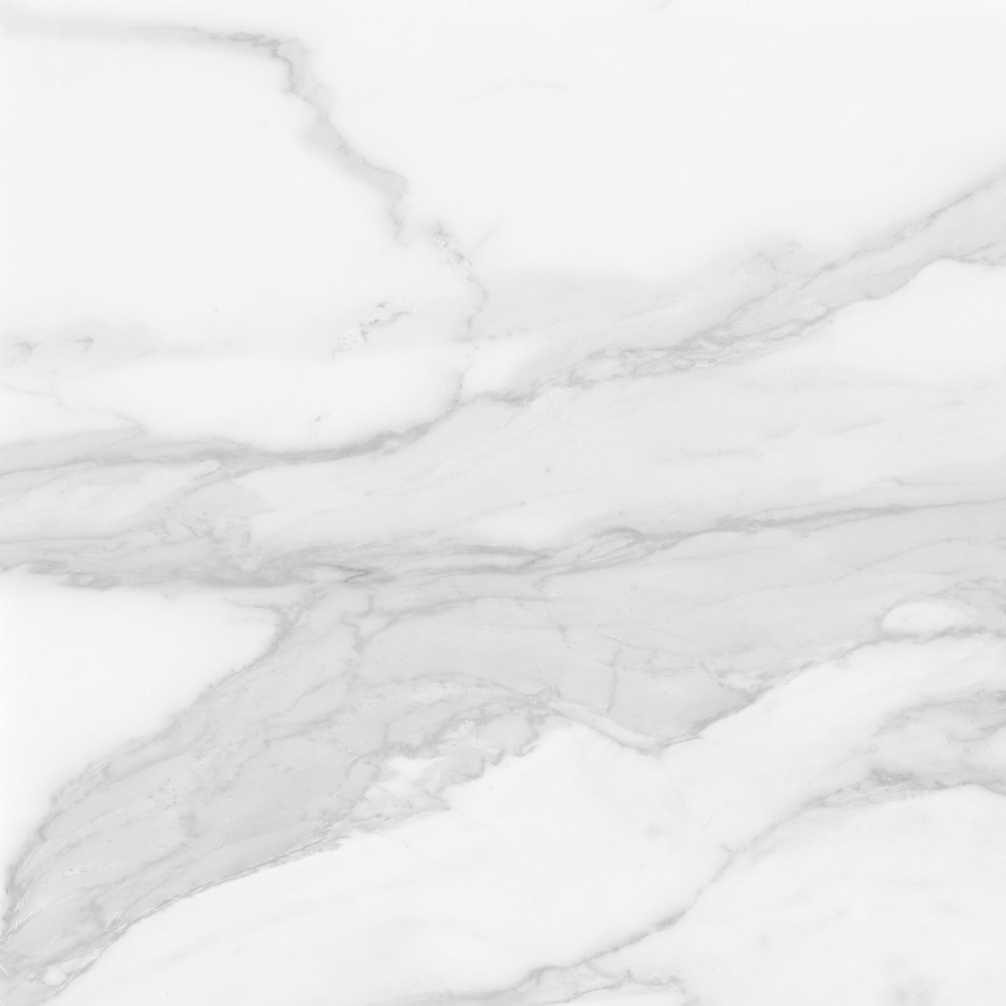 Plata 24x24 Statuario Brina Polished | Revere Tile Company