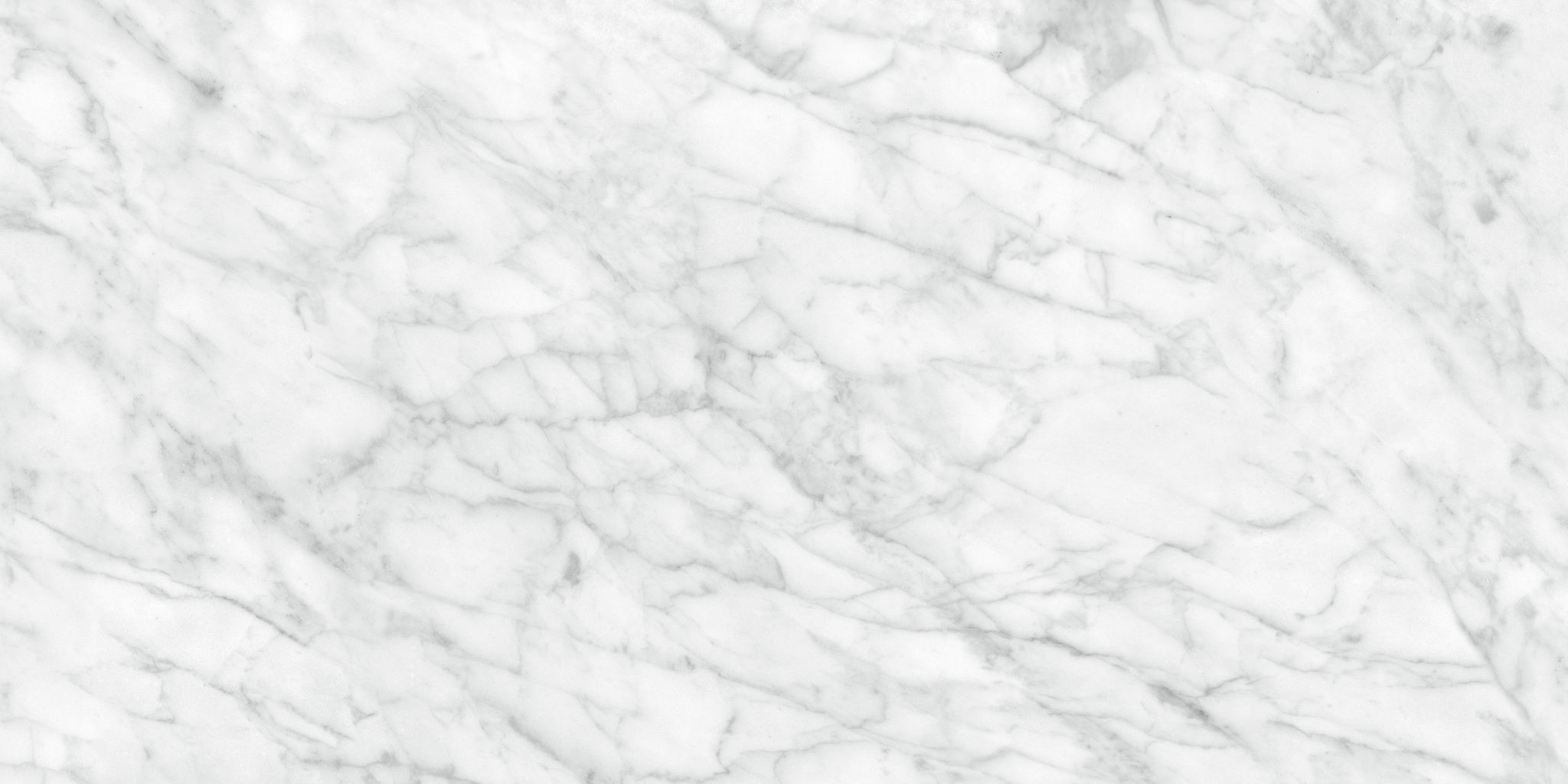 Plata 24x48 Carrara Abisso Polished | Revere Tile Company