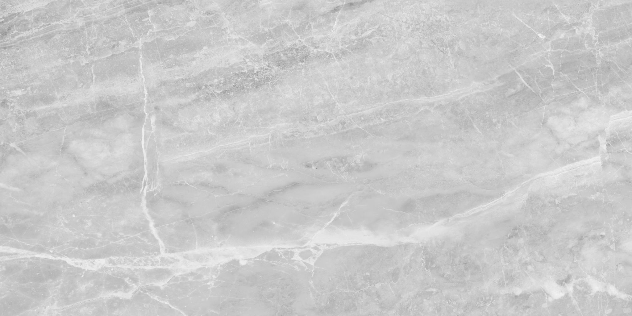 Plata 24x48 Perla Grigia Polished | Revere Tile Company