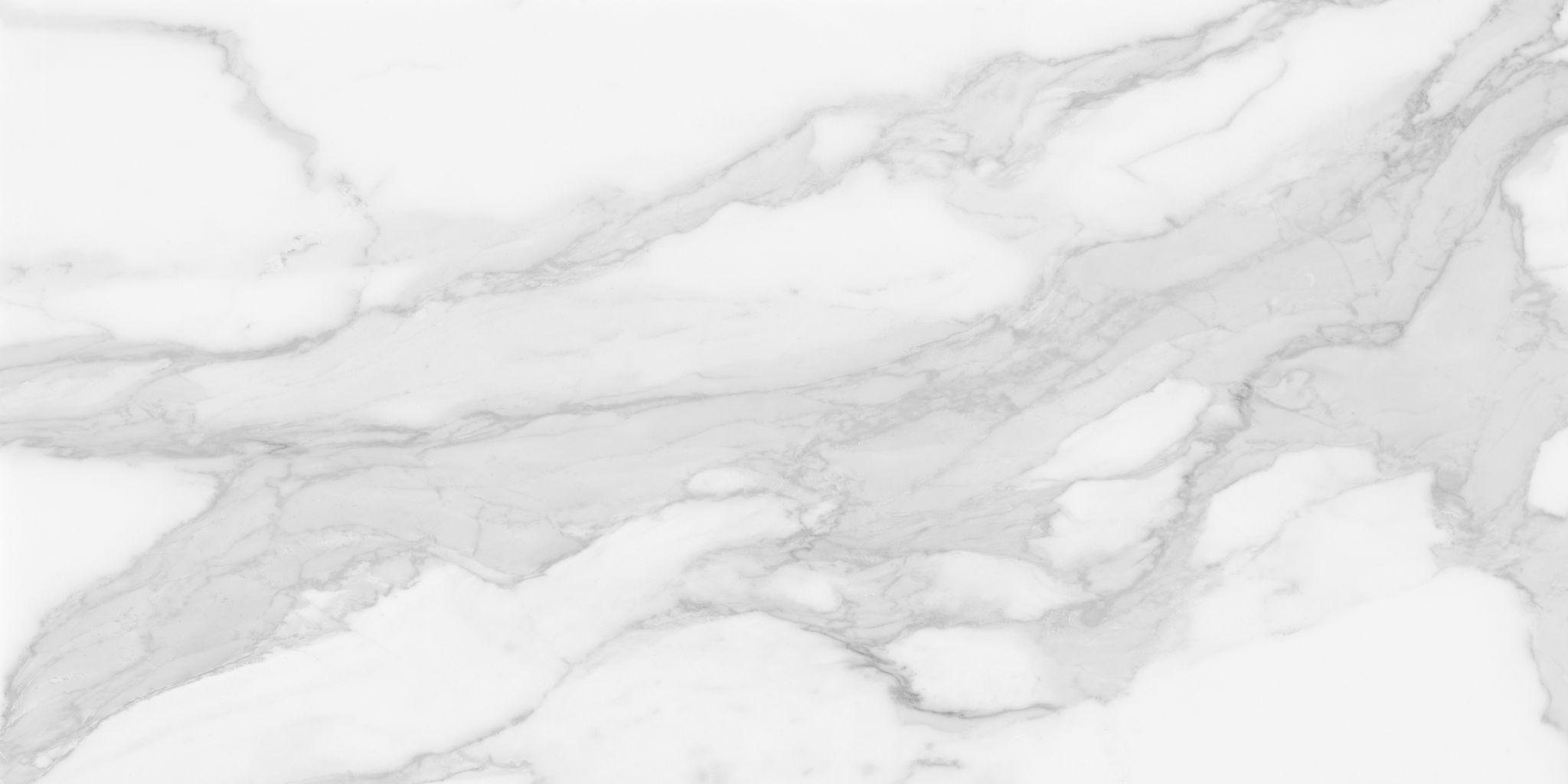 Plata 24x48 Statuario Brina Matte | Revere Tile Company