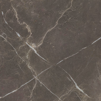 Royal Stoneworks 24X24 Regal Brown Marble Polished | Revere Tile Company