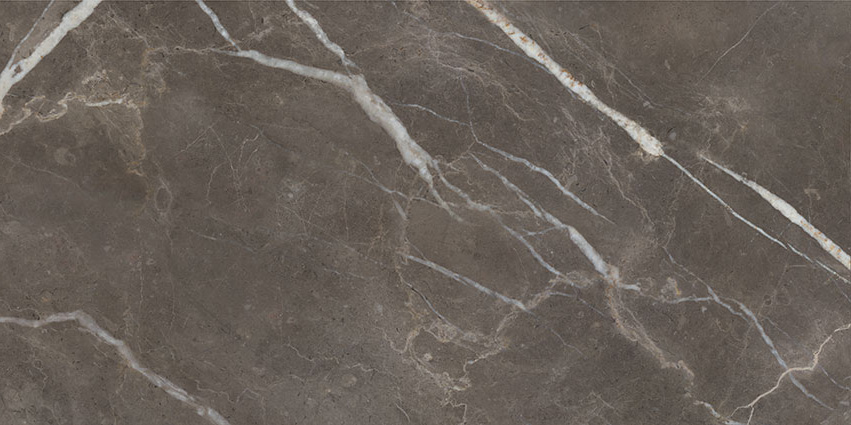 Royal Stoneworks 24X48 Regal Brown Marble Honed | Revere Tile Company