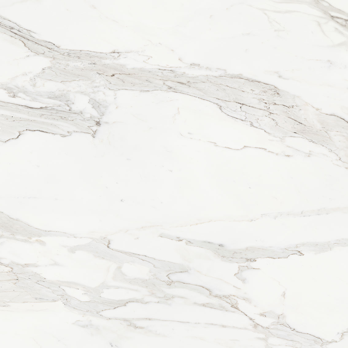 Royal Stoneworks 48X48 Crown Calacatta Polished | Revere Tile Company