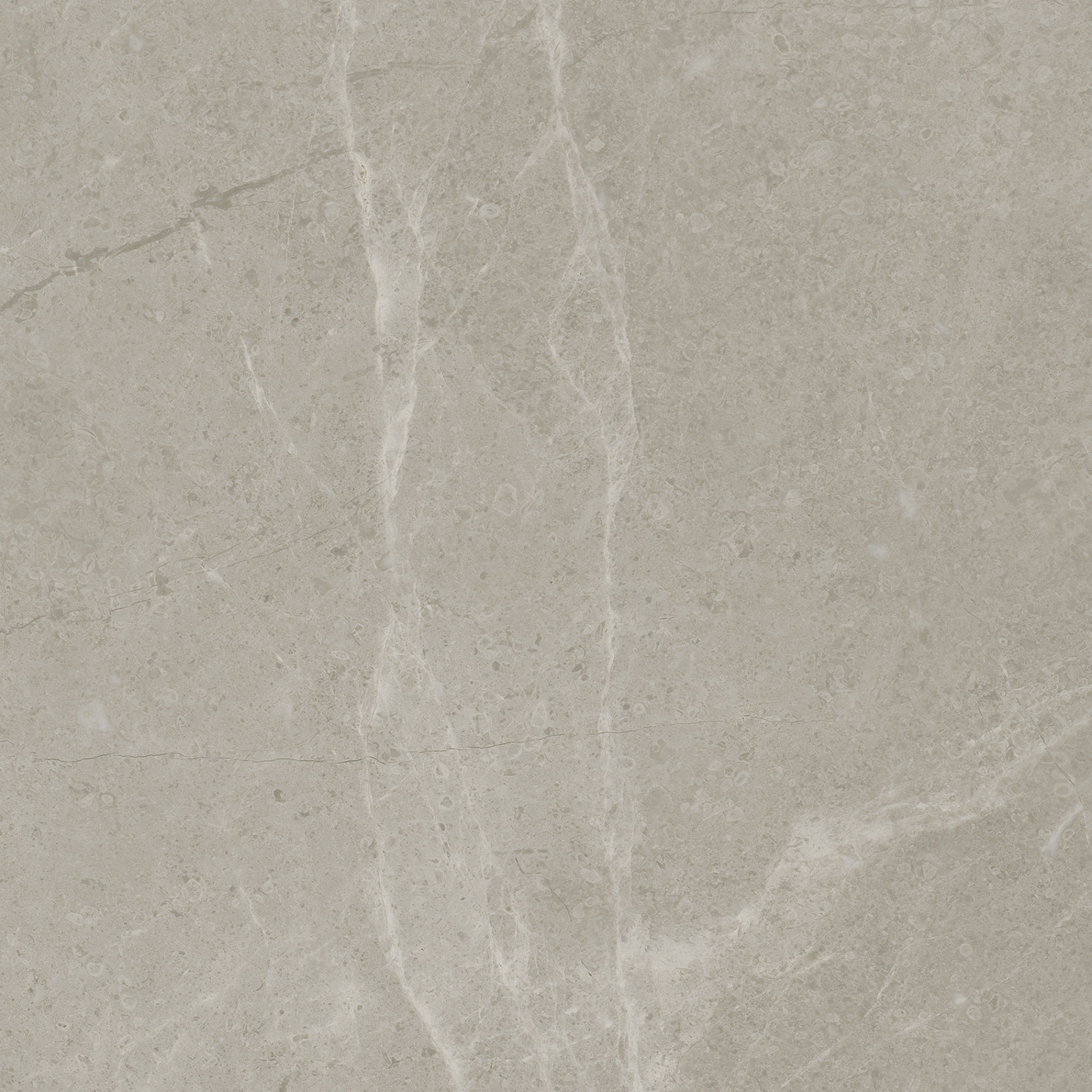 Torino 13x13 Vanizio | Revere Tile Company