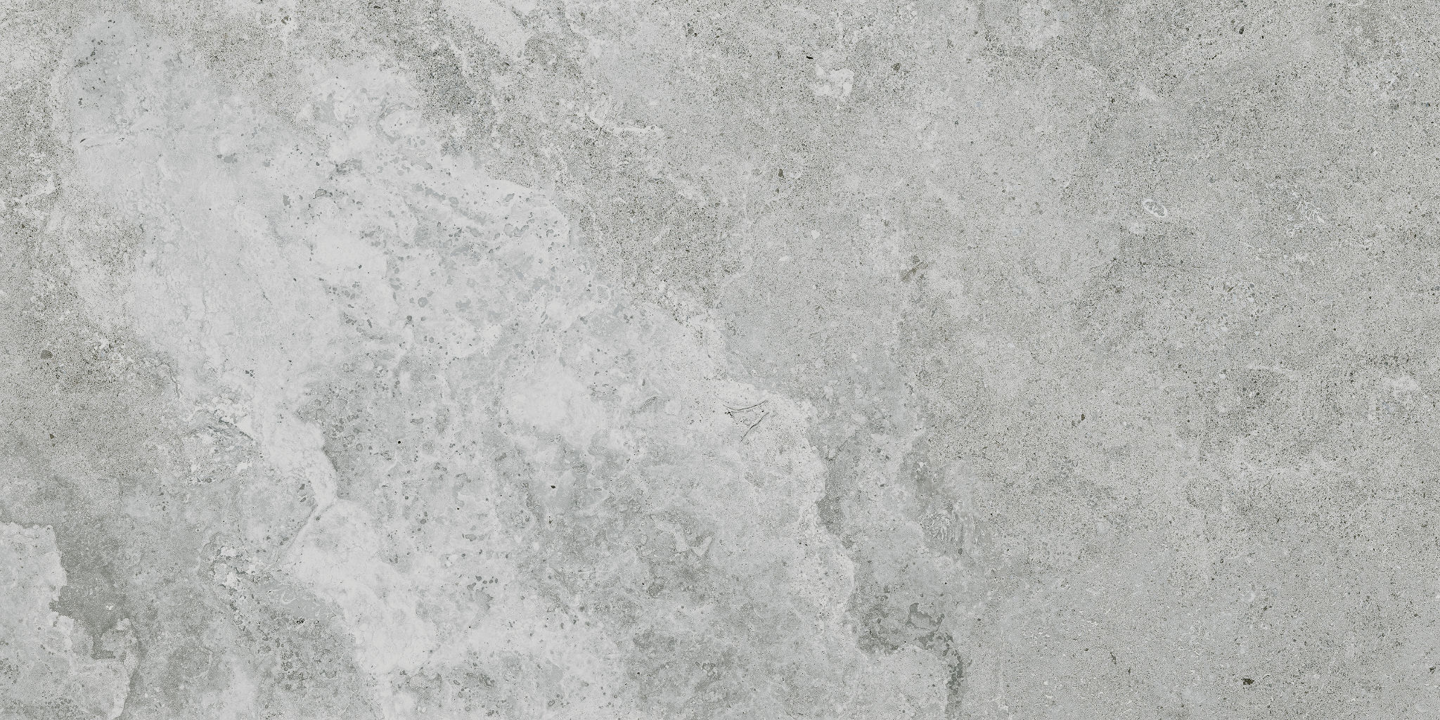 Veneta 12x24 Argento | Revere Tile Company