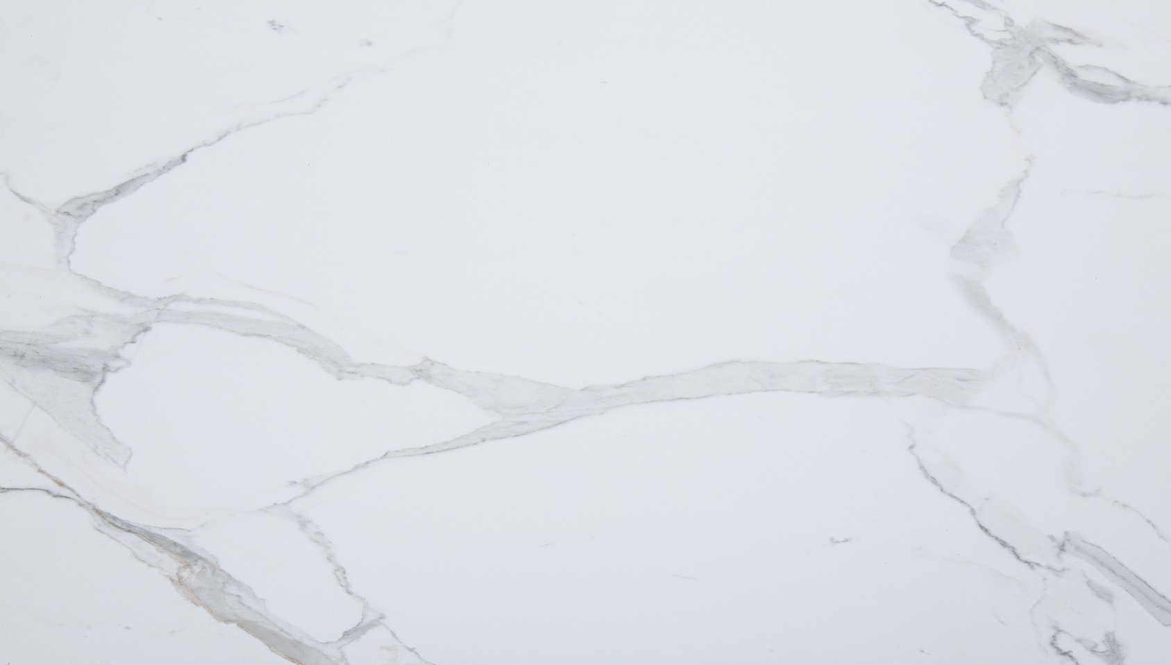 Carrara Marble Wall Tile 25x15 | Revere Tile Company