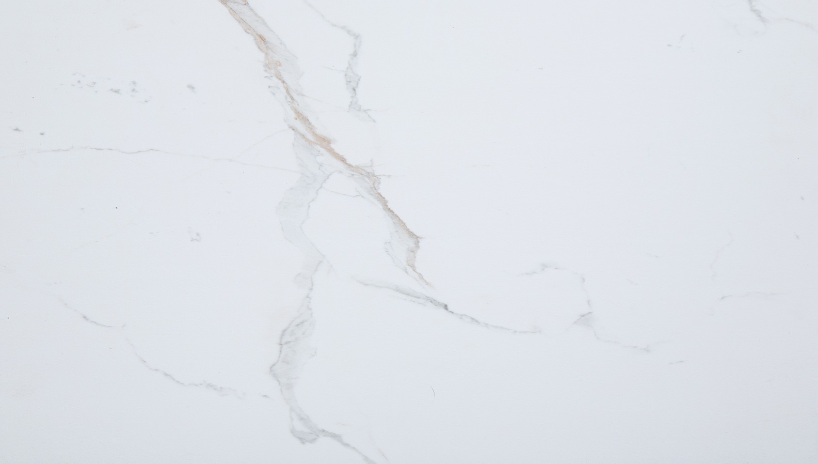 Carrara Marble Wall Tile 25x15 | Revere Tile Company