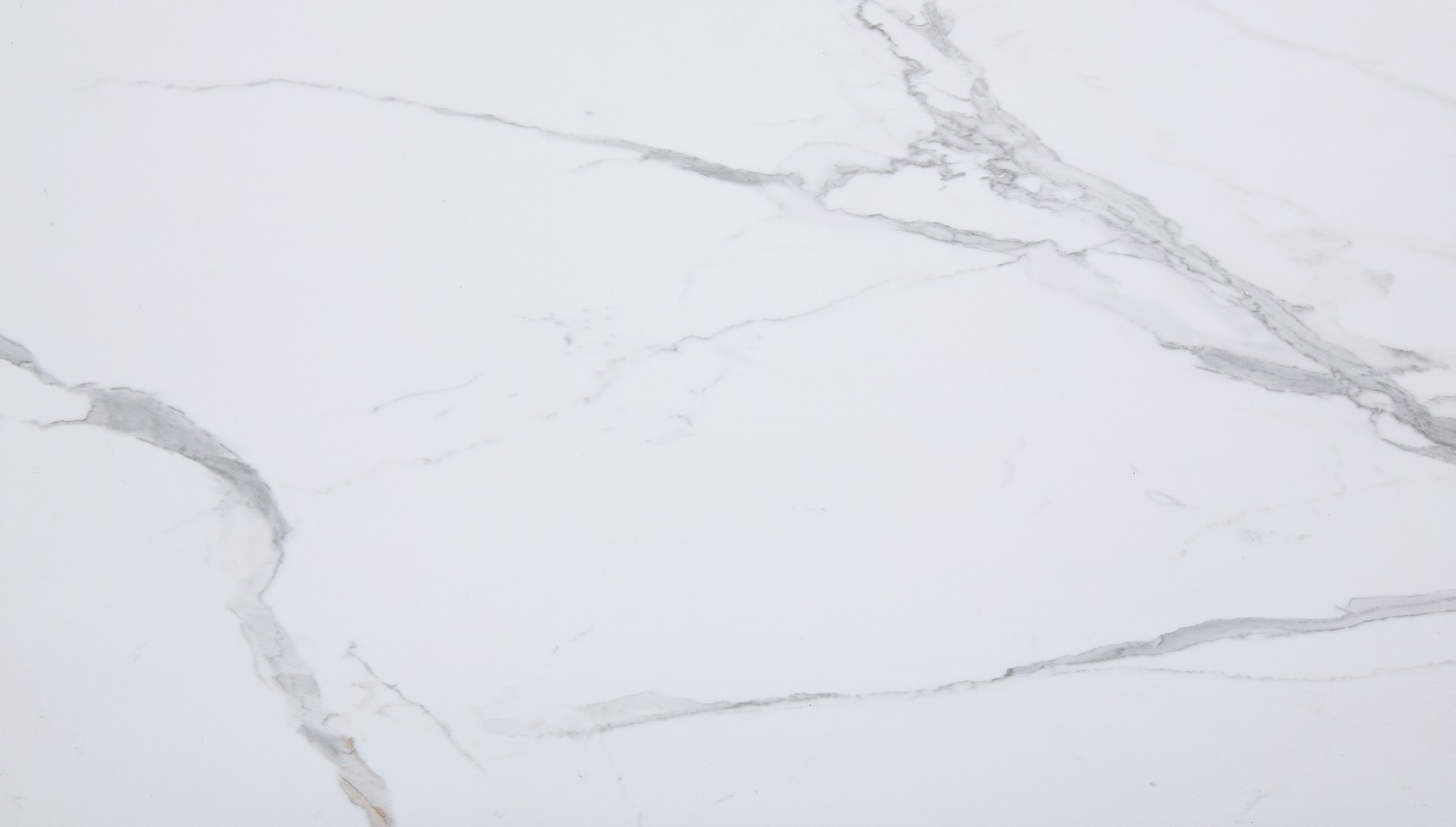 Carrara Marble Wall Tile 25x15 | Revere Tile Company