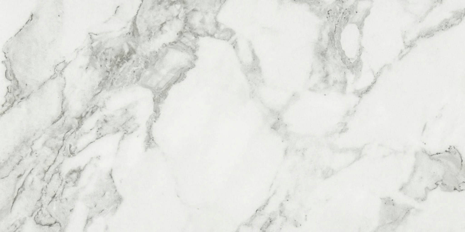 Luxury Arabescato Verona 12X24 Honed | Revere Tile Company